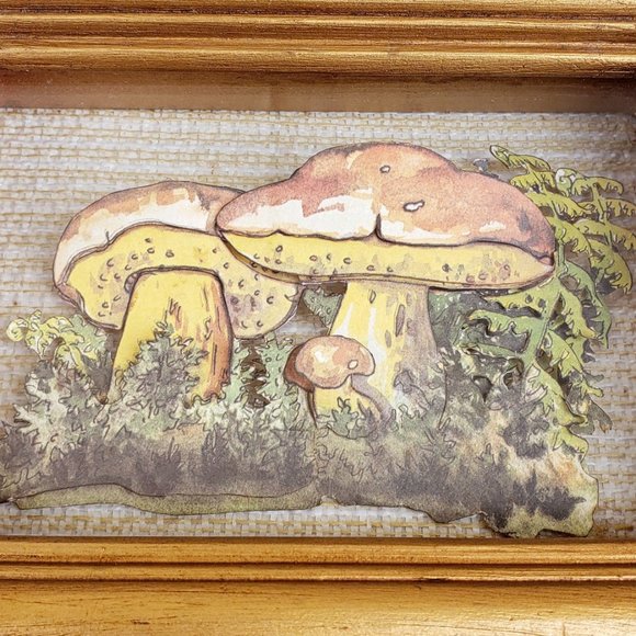 Vintage Paper Toile 3D Toadstool Framed Art - Picture 4 of 5